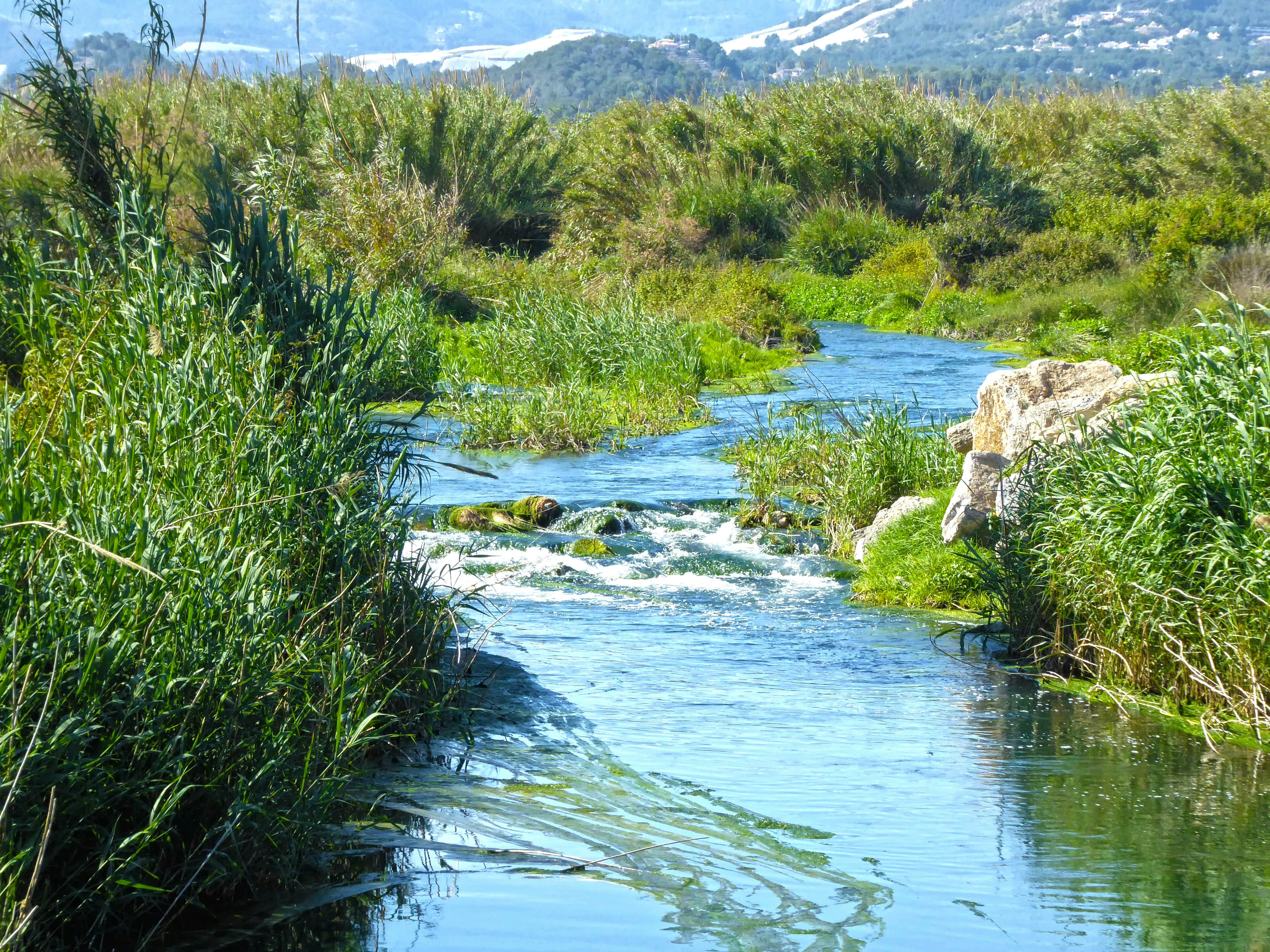 Environmental Monitoring