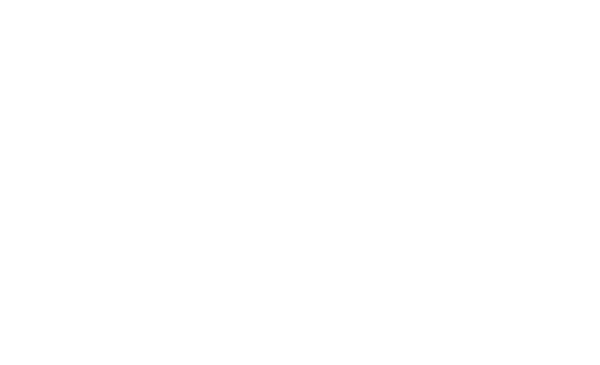 INRS logo
